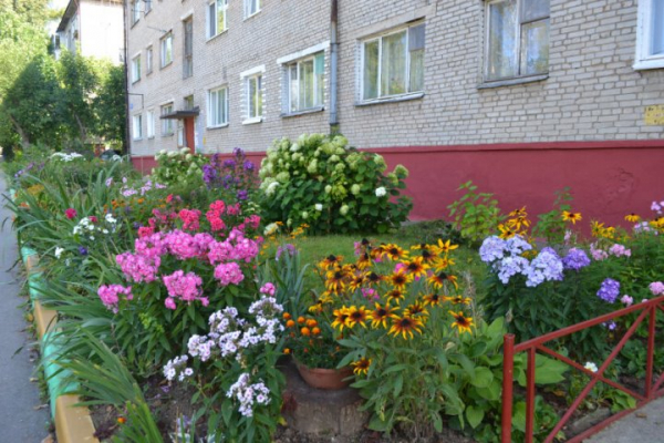 За благоустройство клумбы у подъезда можно получить штраф За благоустройство клумбы у подъезда можно получить штраф