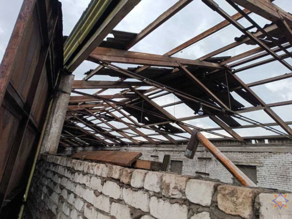 В МЧС рассказали о последствиях непогоды на Брестчине