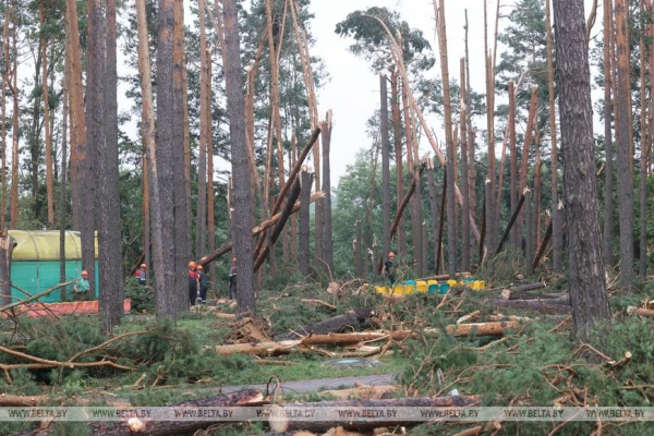 «Все случилось мгновенно». В лагере рассказали о разгуле стихии, приведшей к трагедии «Все случилось мгновенно». В лагере рассказали о разгуле стихии, приведшей к трагедии