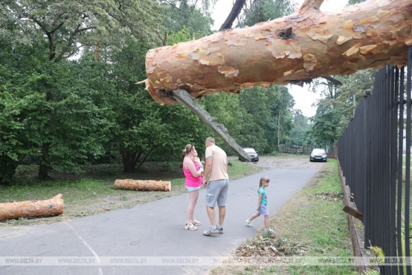 «Все случилось мгновенно». В лагере рассказали о разгуле стихии, приведшей к трагедии «Все случилось мгновенно». В лагере рассказали о разгуле стихии, приведшей к трагедии