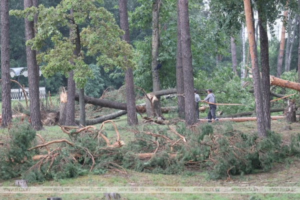 «Все случилось мгновенно». В лагере рассказали о разгуле стихии, приведшей к трагедии «Все случилось мгновенно». В лагере рассказали о разгуле стихии, приведшей к трагедии