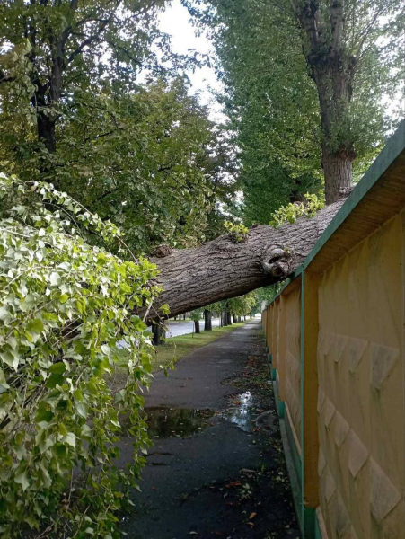 В Бресте после ливня в ГОЧС поступил 21 звонок В Бресте после ливня в ГОЧС поступил 21 звонок