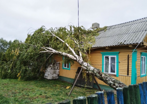 Кто из пострадавших от непогоды может получить матпомощь Кто из пострадавших от непогоды может получить матпомощь