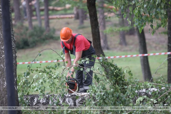«Все случилось мгновенно». В лагере рассказали о разгуле стихии, приведшей к трагедии «Все случилось мгновенно». В лагере рассказали о разгуле стихии, приведшей к трагедии