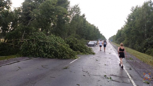 Что натворила непогода на Брестчине