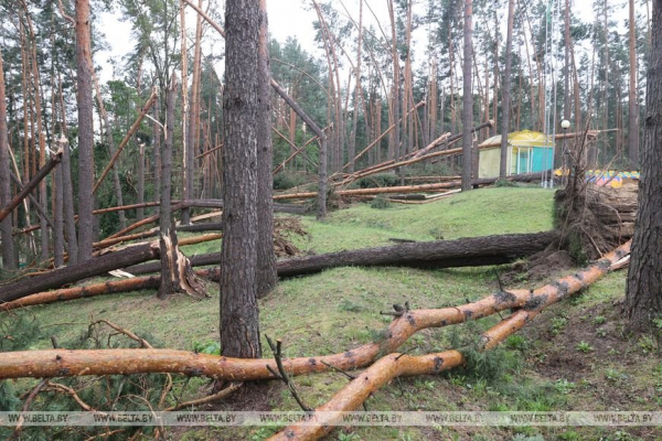 «Все случилось мгновенно». В лагере рассказали о разгуле стихии, приведшей к трагедии «Все случилось мгновенно». В лагере рассказали о разгуле стихии, приведшей к трагедии