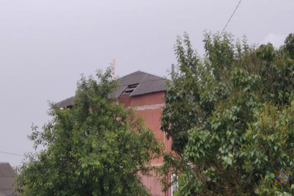 В МЧС рассказали о последствиях непогоды на Брестчине