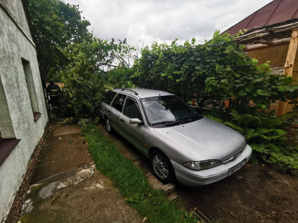 В Бресте после ливня в ГОЧС поступил 21 звонок В Бресте после ливня в ГОЧС поступил 21 звонок