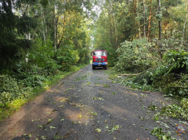 Что натворила непогода на Брестчине