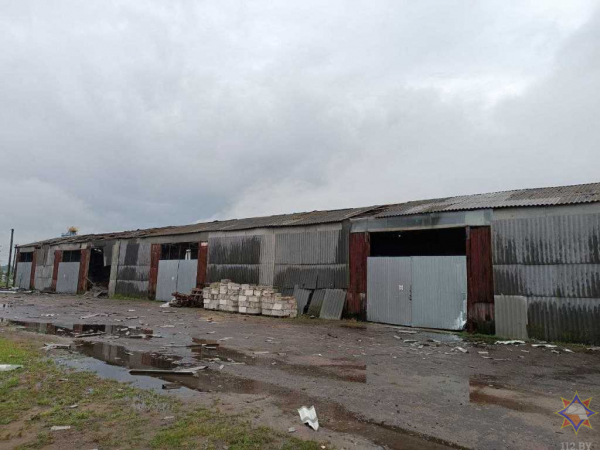 В МЧС рассказали о последствиях непогоды на Брестчине