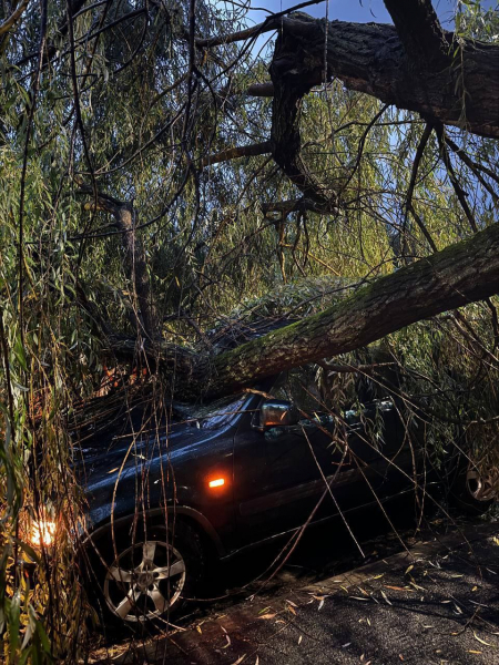 В Бресте после ливня в ГОЧС поступил 21 звонок В Бресте после ливня в ГОЧС поступил 21 звонок